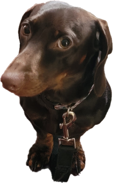 Remy logo